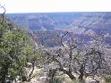 Grand Canyon (48)